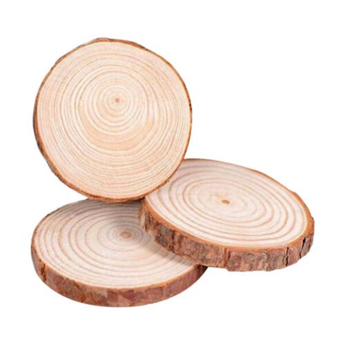 WOOD SLICE