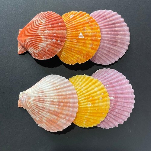 Mermaid Shell for resin art