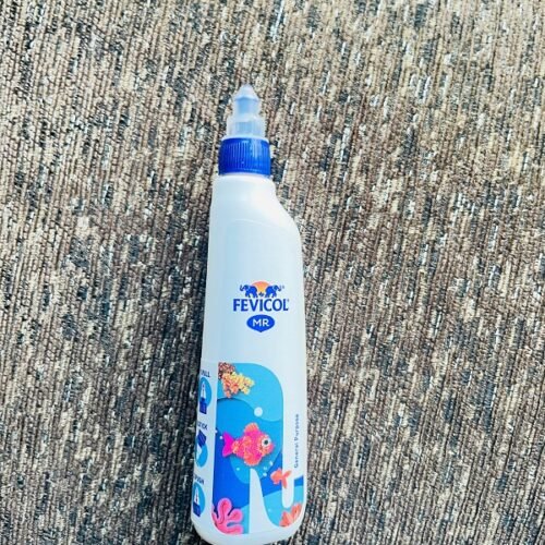 Fevicol Mr Glue