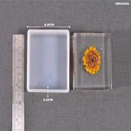 Square Silicon Mould RM243A