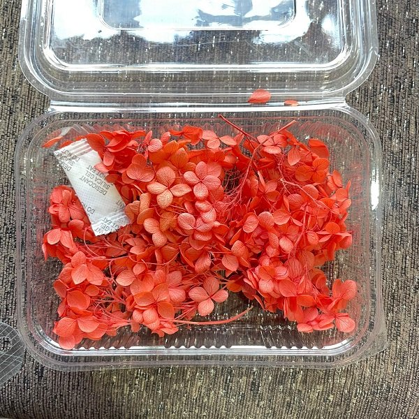 Dry Hydra flowers - Tomato red